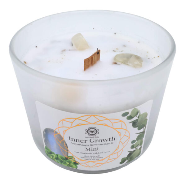 Bougie Green Tree ‘Croissance intérieure’ Pierre de Lune + Menthe 256g
