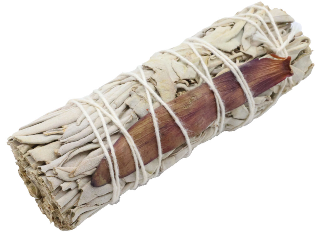 Sauge Blanche &lsquo;Dream Sage&rsquo; Fagot 25g 10cm