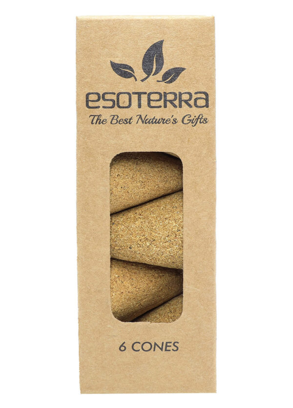 Cônes de Palo Santo non traités 6pcs