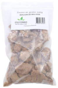 Résine ESOTERRA Benjoin de Malaisie 100g